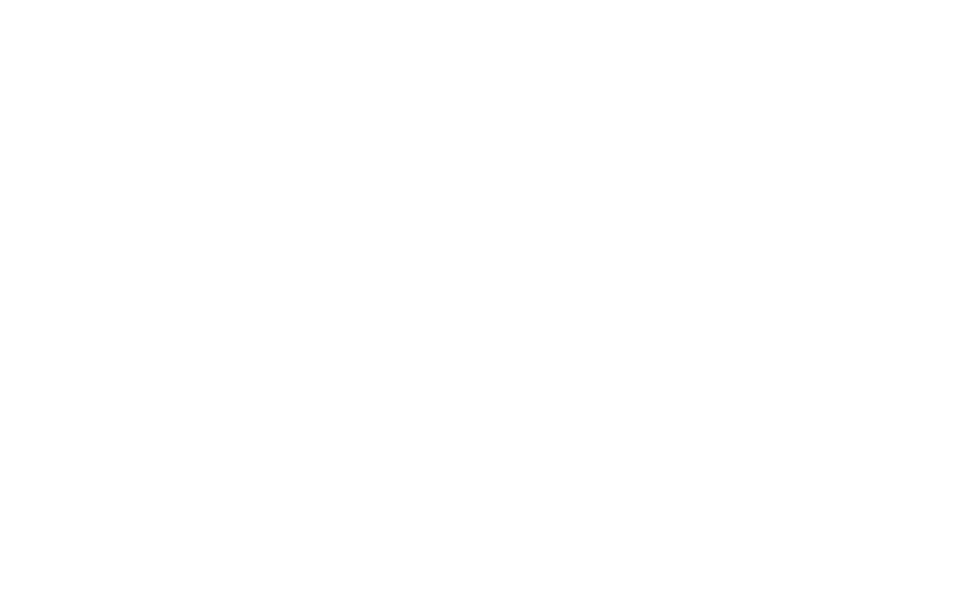 TeamScale
